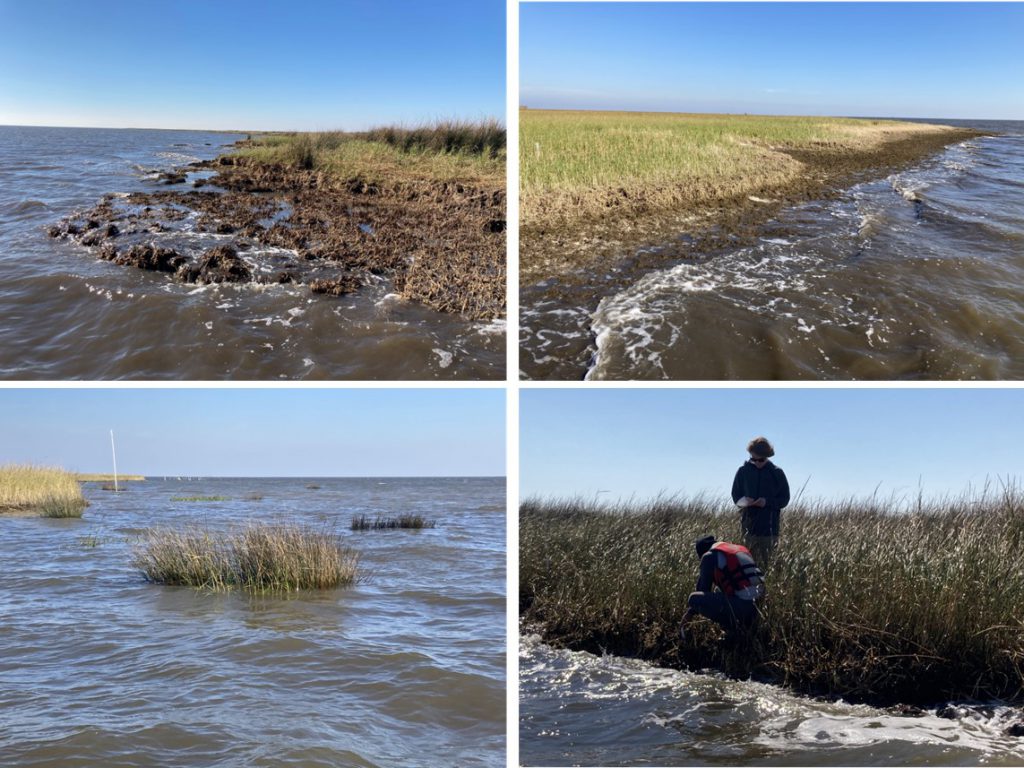 four images of the same shoreline showing progressive erosion