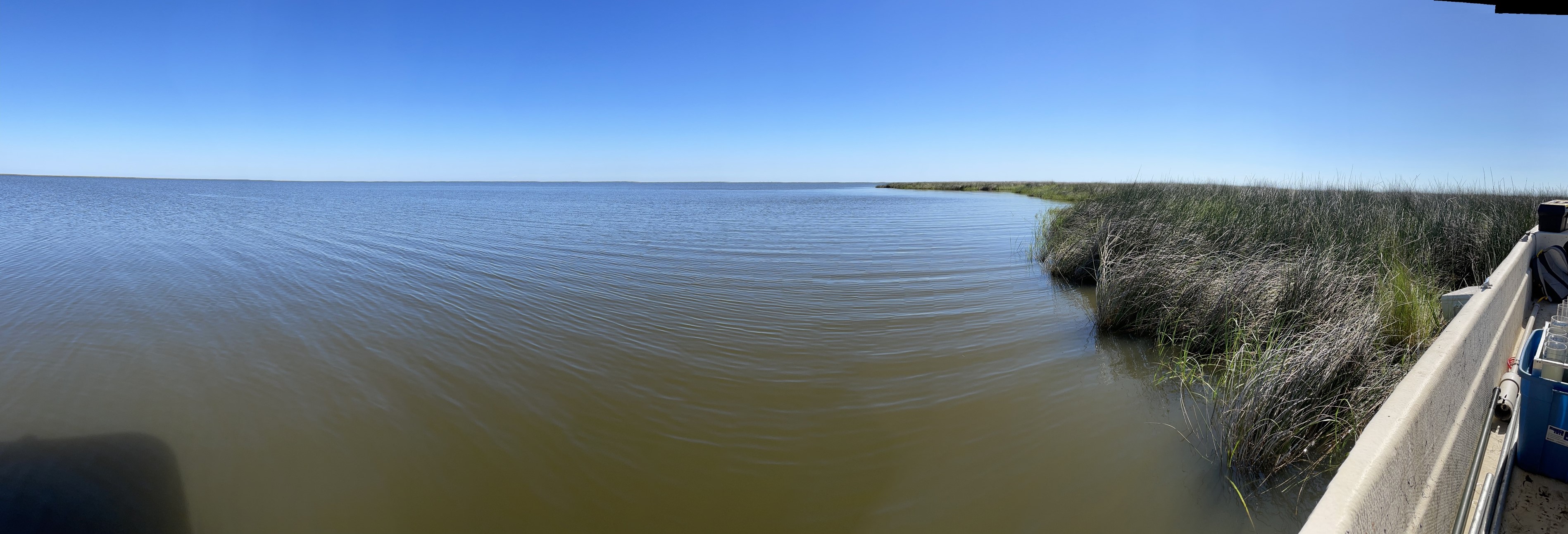 wide shot of marsh and open water