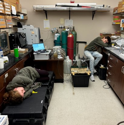 students sleeping in the lab