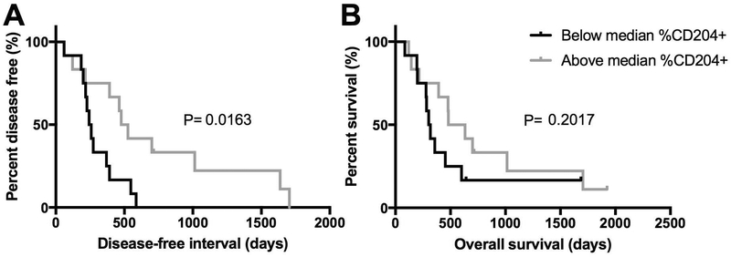 Association of macrophage infiltration with disease-free interval and survival in canine osteosarcoma