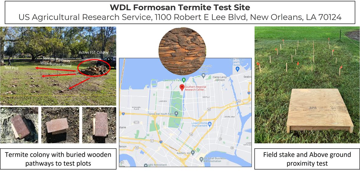 WDL Formosan Termite Test Site in New Orleans, LA
