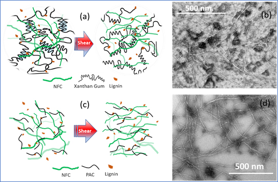 Rhelological properties of cellulose nanomaterials (CNMs)