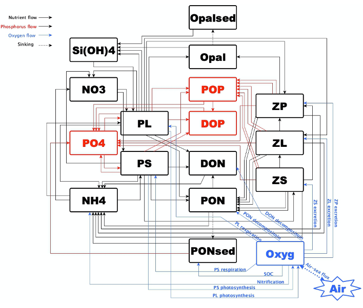 Dissolved Oxygen model
